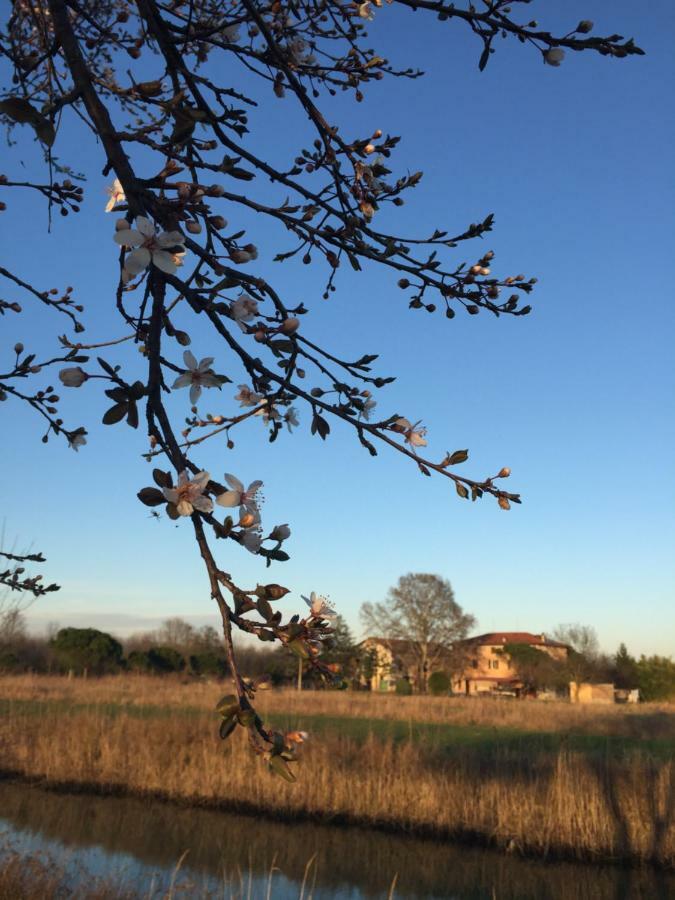 Agriturismo Valle Ca' Del Lovo Carlino Buitenkant foto